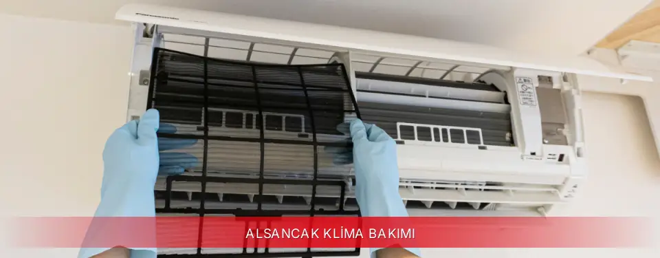 Alsancak İlçemi Viessmann Klima Bakımı