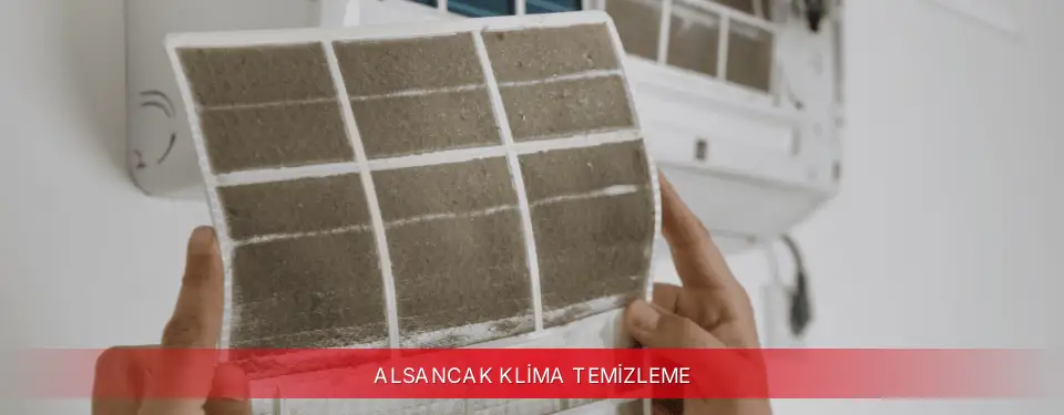 Alsancak İlçemi Viessmann Klima Temizleme